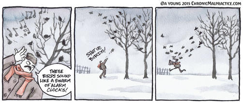 Early Birds Of Spring